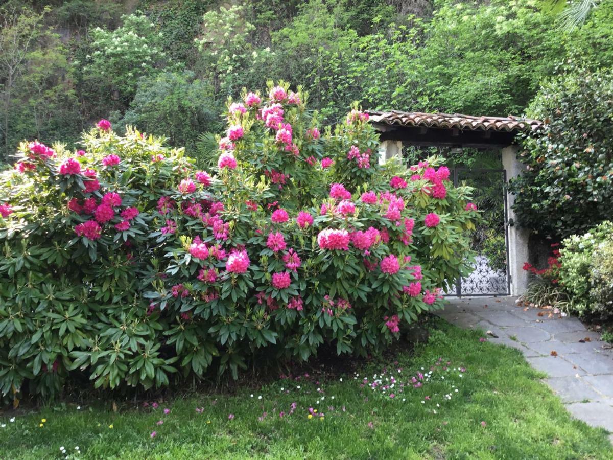 Mon Amour Appartamento In Villa Vista Lago A Lugano-Melide ภายนอก รูปภาพ